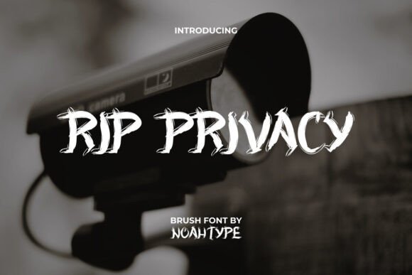 Rip Privacy Font: A Grunge Display Typeface for Bold Campaign Moments